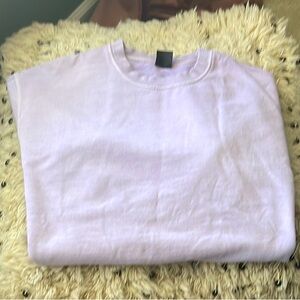 ZARA MENS sweatshirt. Size: L. Color: Lavender.